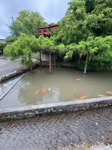嘉川八幡宮(山口県)