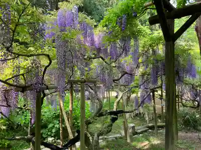 春日大社(奈良県)