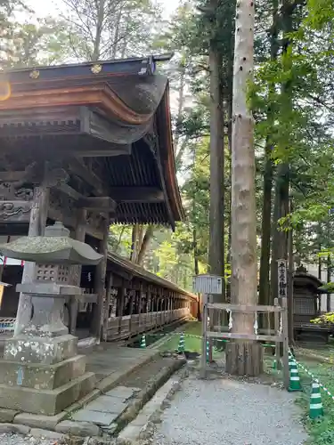 諏訪大社(長野県)