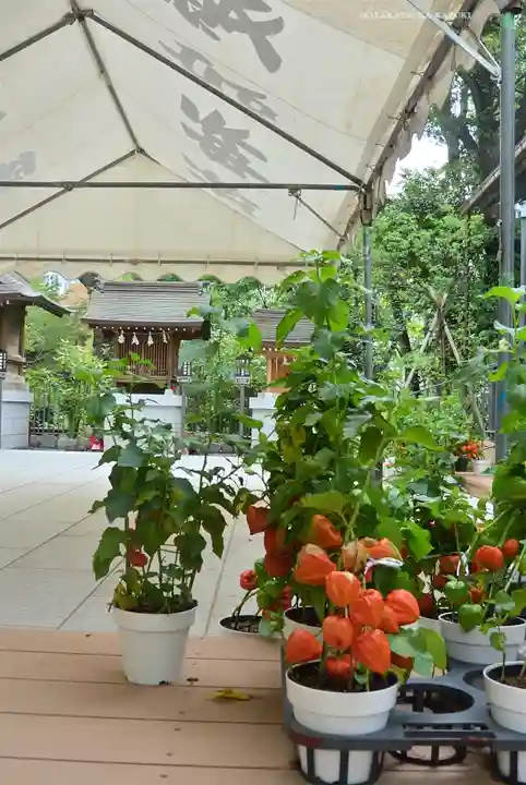 愛宕神社の庭園