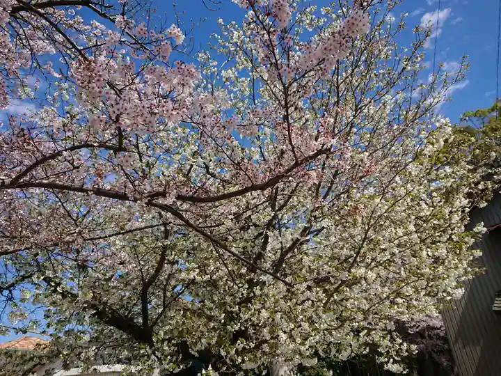 大平八幡宮の自然