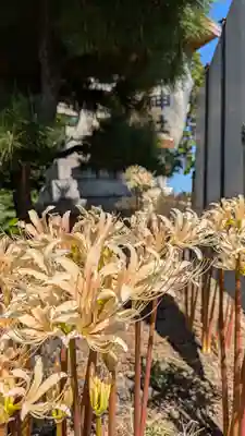 玉田神社(京都府)