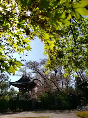 福蔵院(東京都)