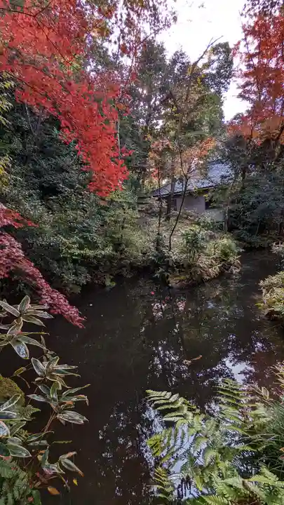 来迎院(京都府)