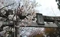 大己貴神社の鳥居