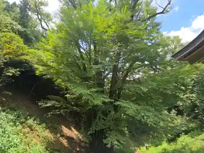 正法寺(滋賀県)