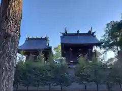 鷲宮神社の本殿