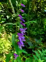 石都々古和気神社(福島県)