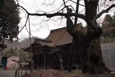 雲峰寺の本殿・本堂