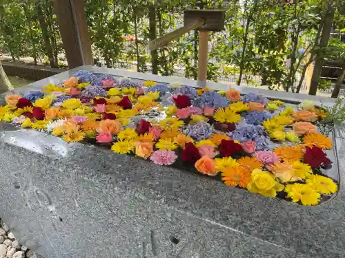 桜神宮(東京都)