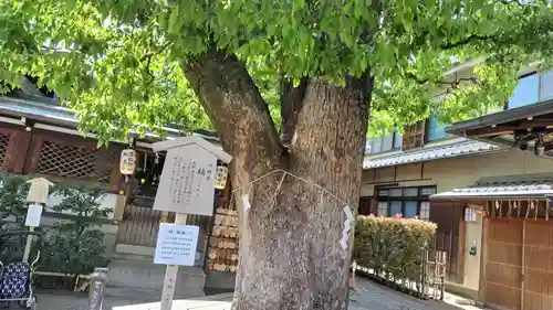 晴明神社(京都府)