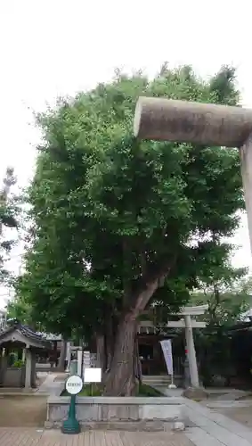 飛木稲荷神社のその他建物