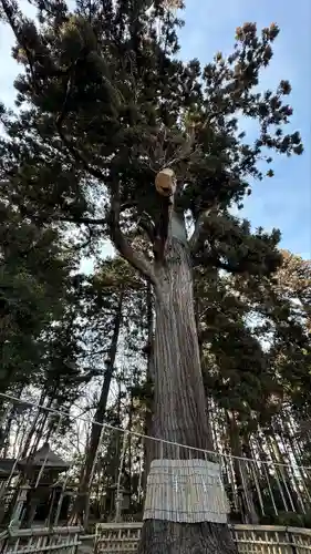 日高神社(岩手県)
