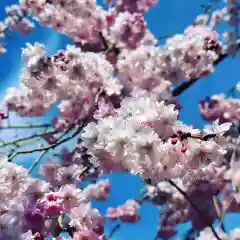 豊景神社(福島県)