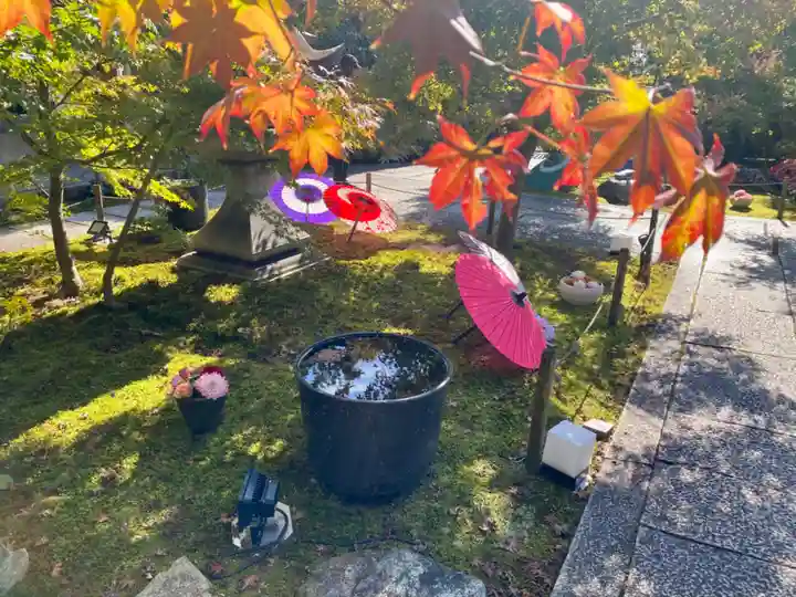 勝林寺(京都府)