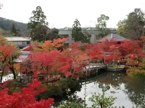 禅林寺（永観堂）の庭園