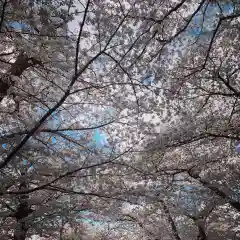 豊景神社の自然