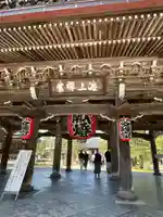 智恩寺の山門・神門