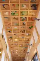 法話と天井絵の寺 観音寺の芸術