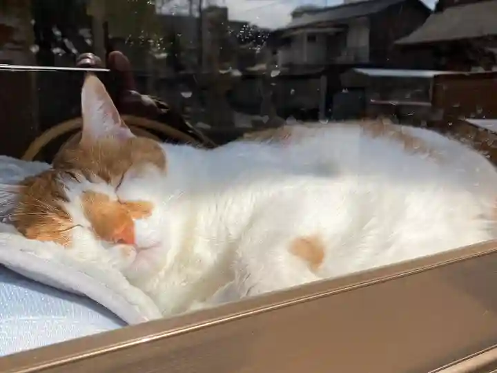 伊勢神社(岡山県)