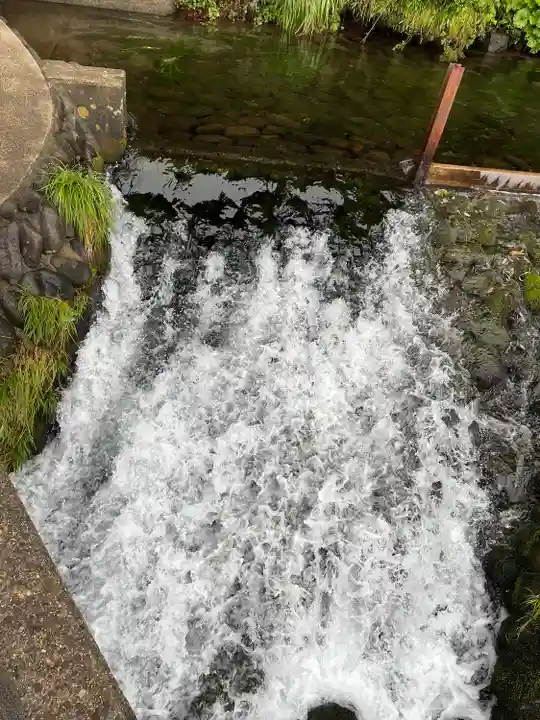 丸池神社(山形県)