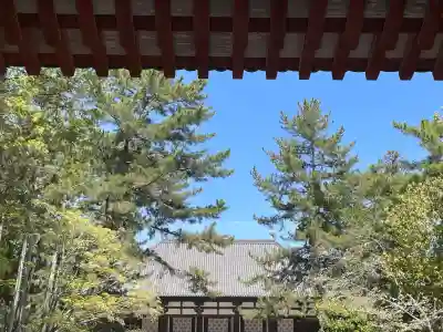 唐招提寺の{uncategorized: "未分類", other: "その他", undefined: "問題あり", building: "その他建物", grave: "お墓", sacred_gate: "鳥居", guardian: "狛犬", statue: "像", buddha: "仏像", history: "歴史", nature: "自然", garden: "庭園", animal: "動物", pagoda: "塔", temizu: "手水舎", mountain_gate: "山門・神門", sanctuary: "本殿・本堂", subordinate: "末社・摂社", art: "芸術", scenery: "景色", jizo: "地蔵", ema: "絵馬", goshuin: "御朱印", omikuji: "おみくじ", items: "授与品その他", amulet: "お守り", goshuincho: "御朱印帳", eats: "食事", festival: "お祭り", votive_dance: "神楽", shichigosan: "七五三参", wedding: "結婚式", experience: "体験その他", initially: "初詣", around: "周辺", anti_infection: "感染症対策"}