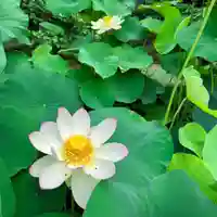 伊勢の国 四天王寺(三重県)