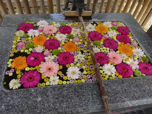 高円寺氷川神社の手水舎