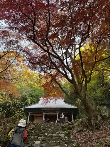 鶏足寺(滋賀県)