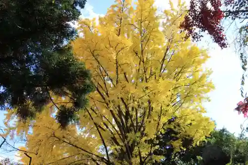 神炊館神社 ⁂奥州須賀川総鎮守⁂の庭園