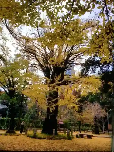 赤坂氷川神社の御朱印