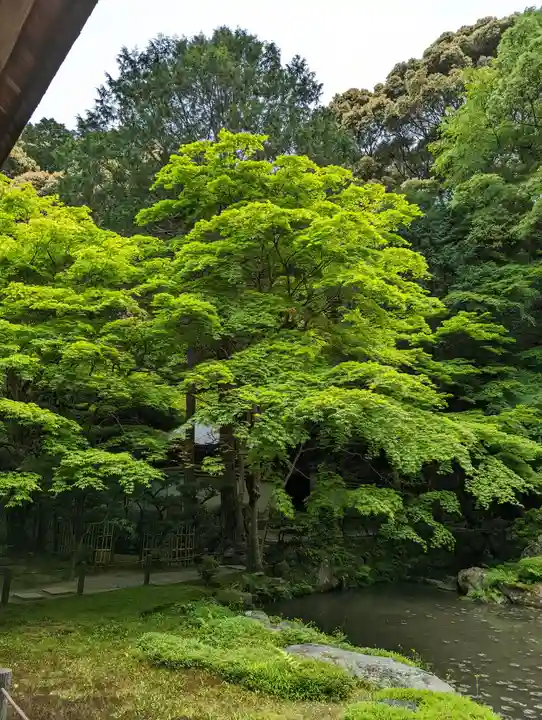 南禅院(京都府)