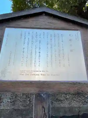 犬塚・犬塚の欅(滋賀県)