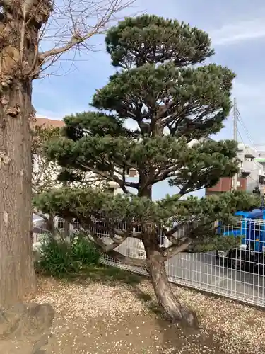 糸縄神社(神奈川県)