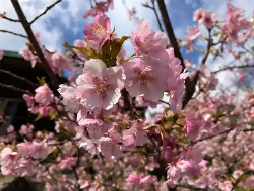 霊山寺(静岡県)