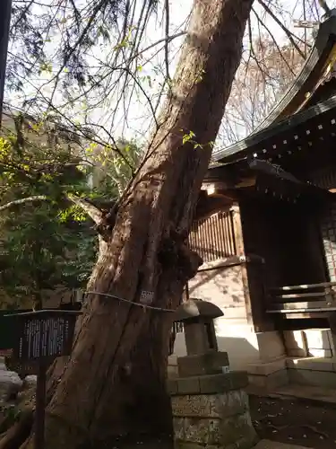 稲荷神社の自然