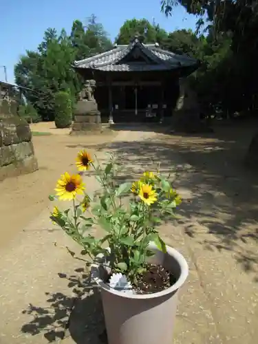 伏木香取神社(茨城県)