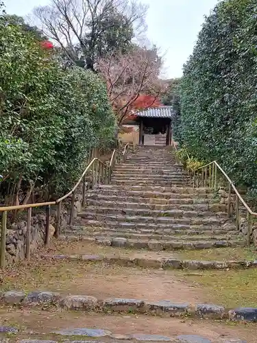 白毫寺の山門