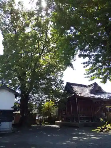 神明神社（上総社）の本殿