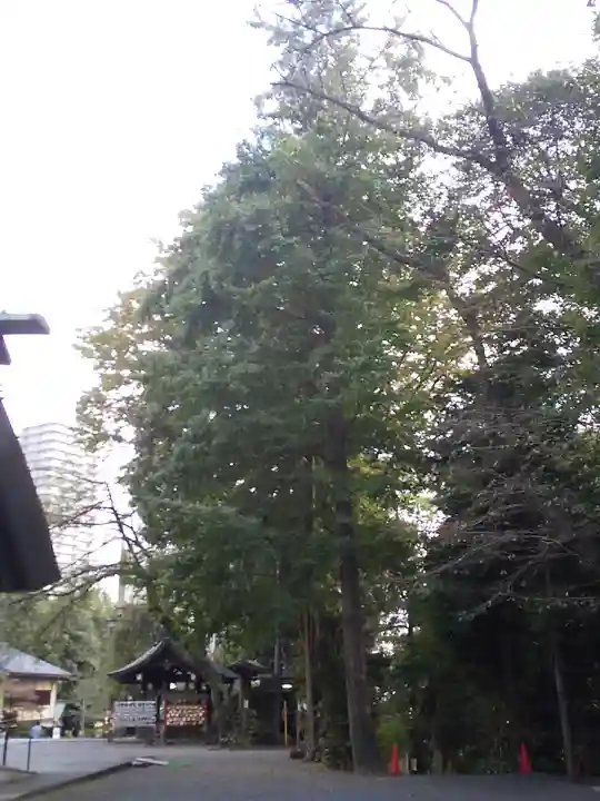 所澤神明社のその他建物