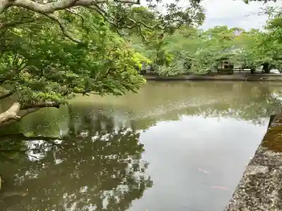 安房神社の{uncategorized: "未分類", other: "その他", undefined: "問題あり", building: "その他建物", grave: "お墓", sacred_gate: "鳥居", guardian: "狛犬", statue: "像", buddha: "仏像", history: "歴史", nature: "自然", garden: "庭園", animal: "動物", pagoda: "塔", temizu: "手水舎", mountain_gate: "山門・神門", sanctuary: "本殿・本堂", subordinate: "末社・摂社", art: "芸術", scenery: "景色", jizo: "地蔵", ema: "絵馬", goshuin: "御朱印", omikuji: "おみくじ", items: "授与品その他", amulet: "お守り", goshuincho: "御朱印帳", eats: "食事", festival: "お祭り", votive_dance: "神楽", shichigosan: "七五三参", wedding: "結婚式", experience: "体験その他", initially: "初詣", around: "周辺", anti_infection: "感染症対策"}