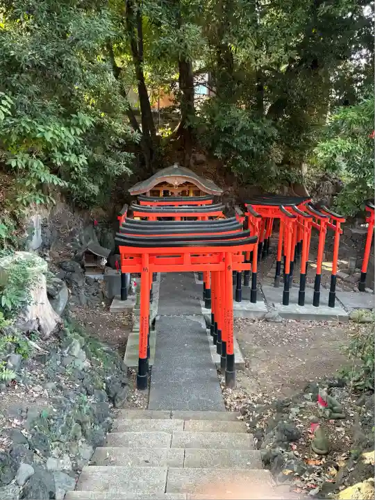 澤蔵司稲荷(慈眼院)(東京都)