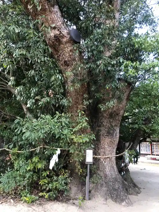 白鳥神社の自然