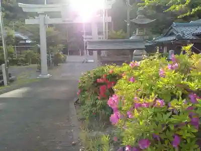 宇波西神社(福井県)