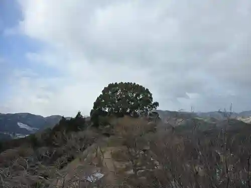 金刀比羅神社 若一神社(岡山県)