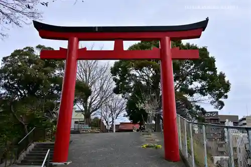 （芝生）浅間神社の鳥居