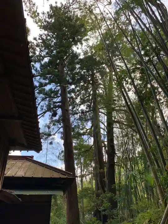 熊野神社の自然