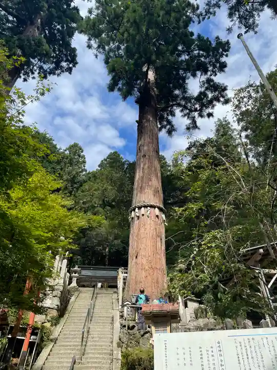 由岐神社の自然