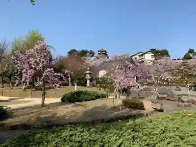 丸岡城八幡神社(福井県)