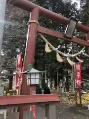 晴山稲荷神社の鳥居